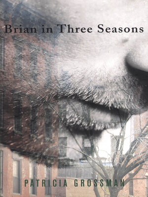 cover image of Brian in Three Seasons